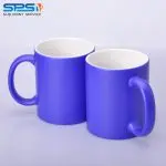 DSC0011 (1)